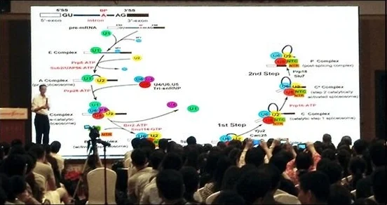 异环在化学结构中的主要角色与深度解析探讨